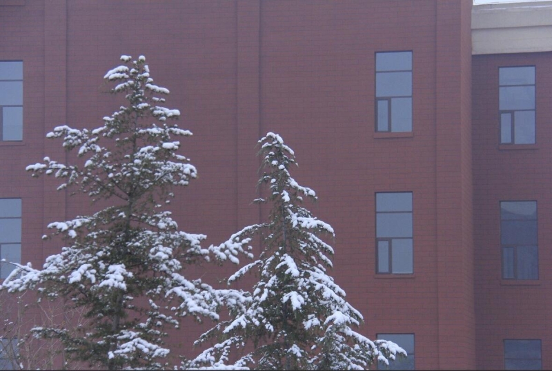 雪花飞舞